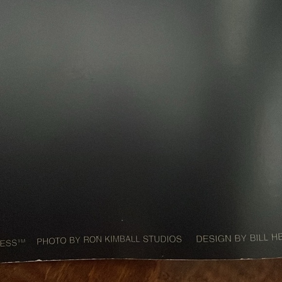 PANOZ ROADSTER RON KIMBALL POSTER - Picture 5 of 8